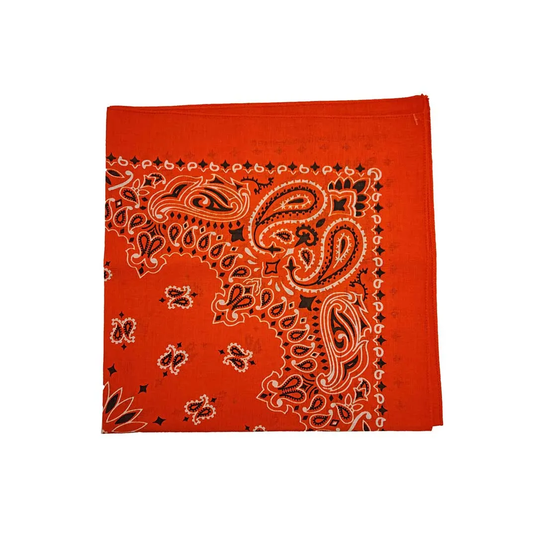 Austin Accent Paisley Print Bandana