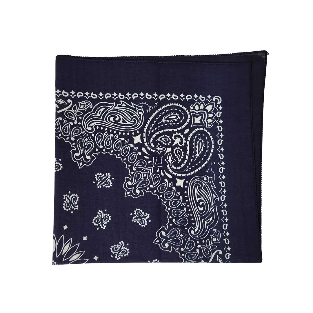 Austin Accent Paisley Print Bandana