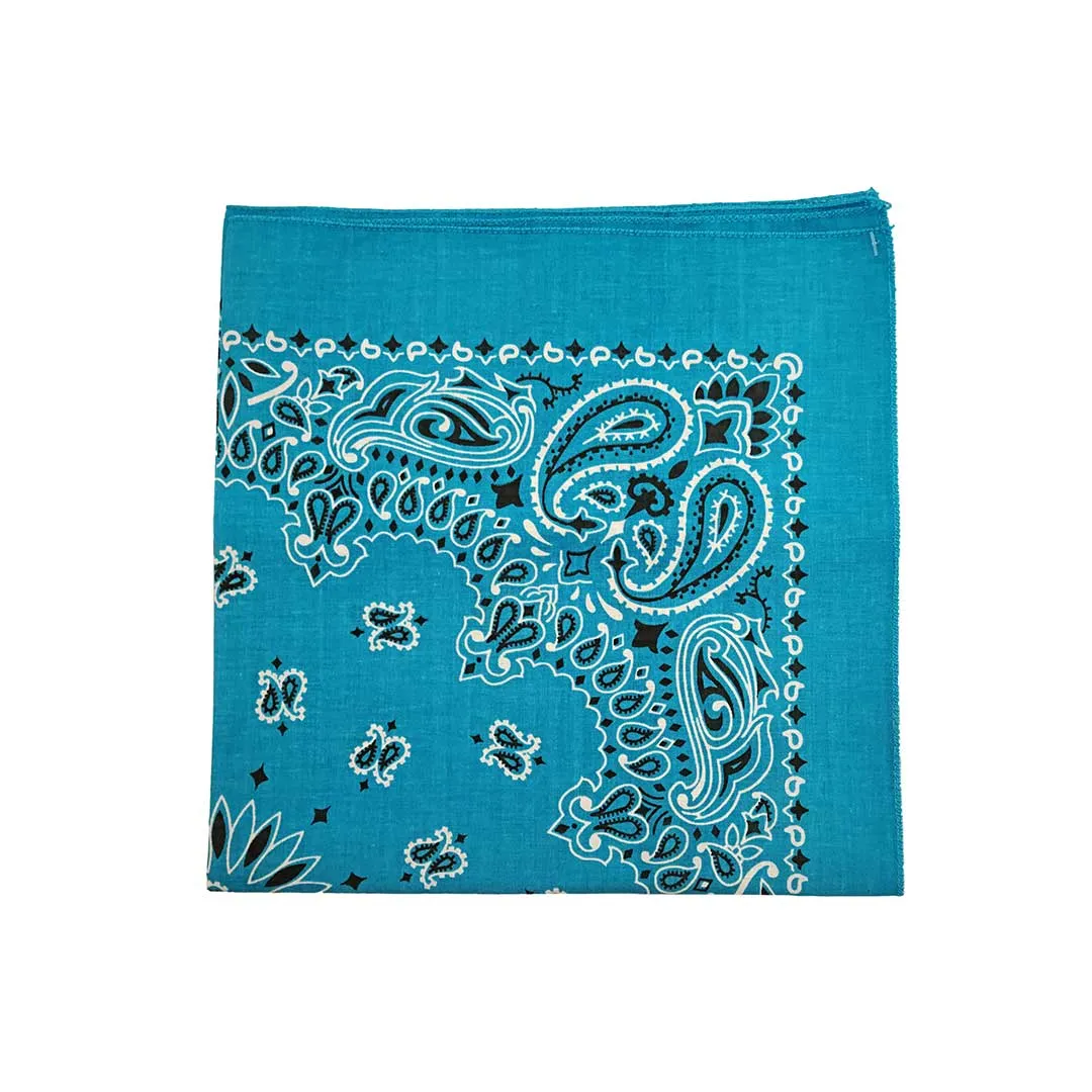 Austin Accent Paisley Print Bandana