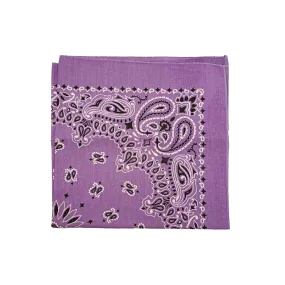 Austin Accent Paisley Print Bandana