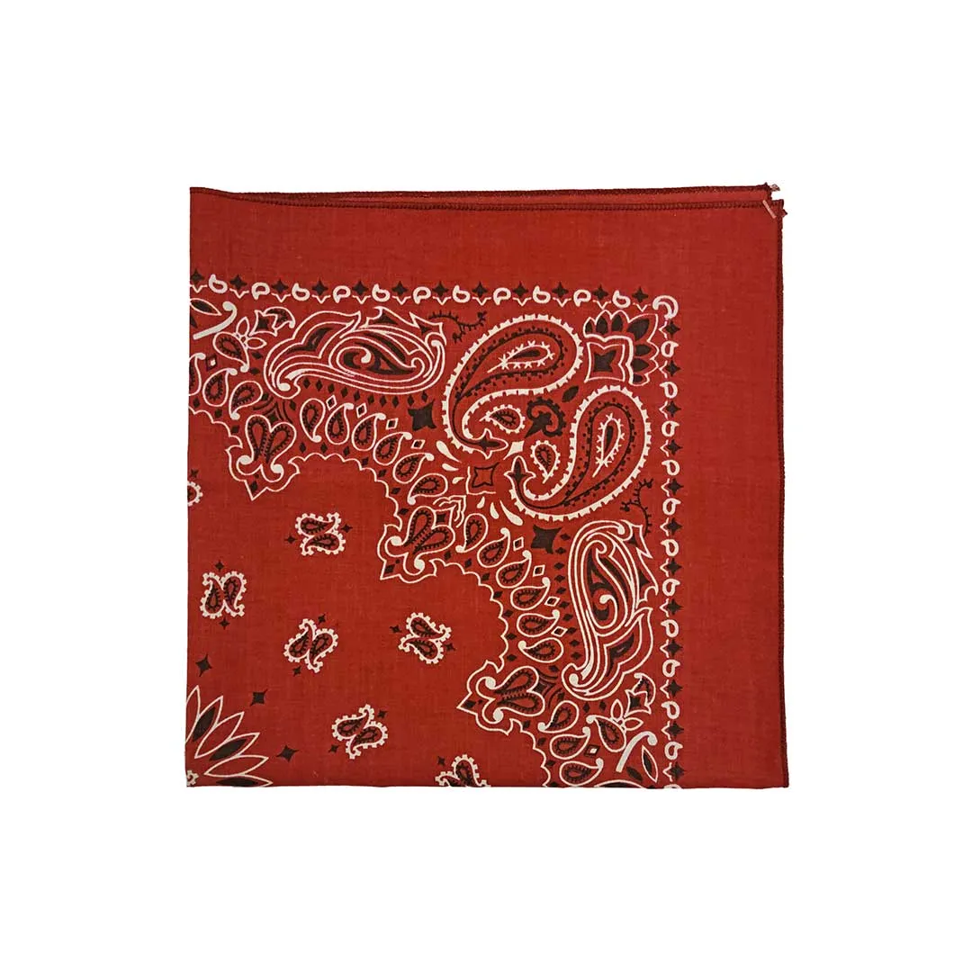 Austin Accent Paisley Print Bandana