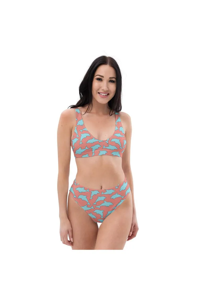 Dolphins Recycled high-waisted bikini