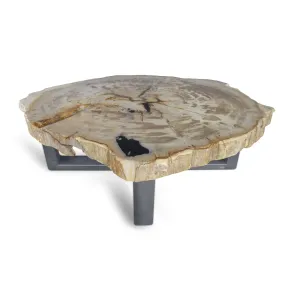 Petrified Wood Round Slab Coffee Table from Indonesia - 39 / 180 lbs