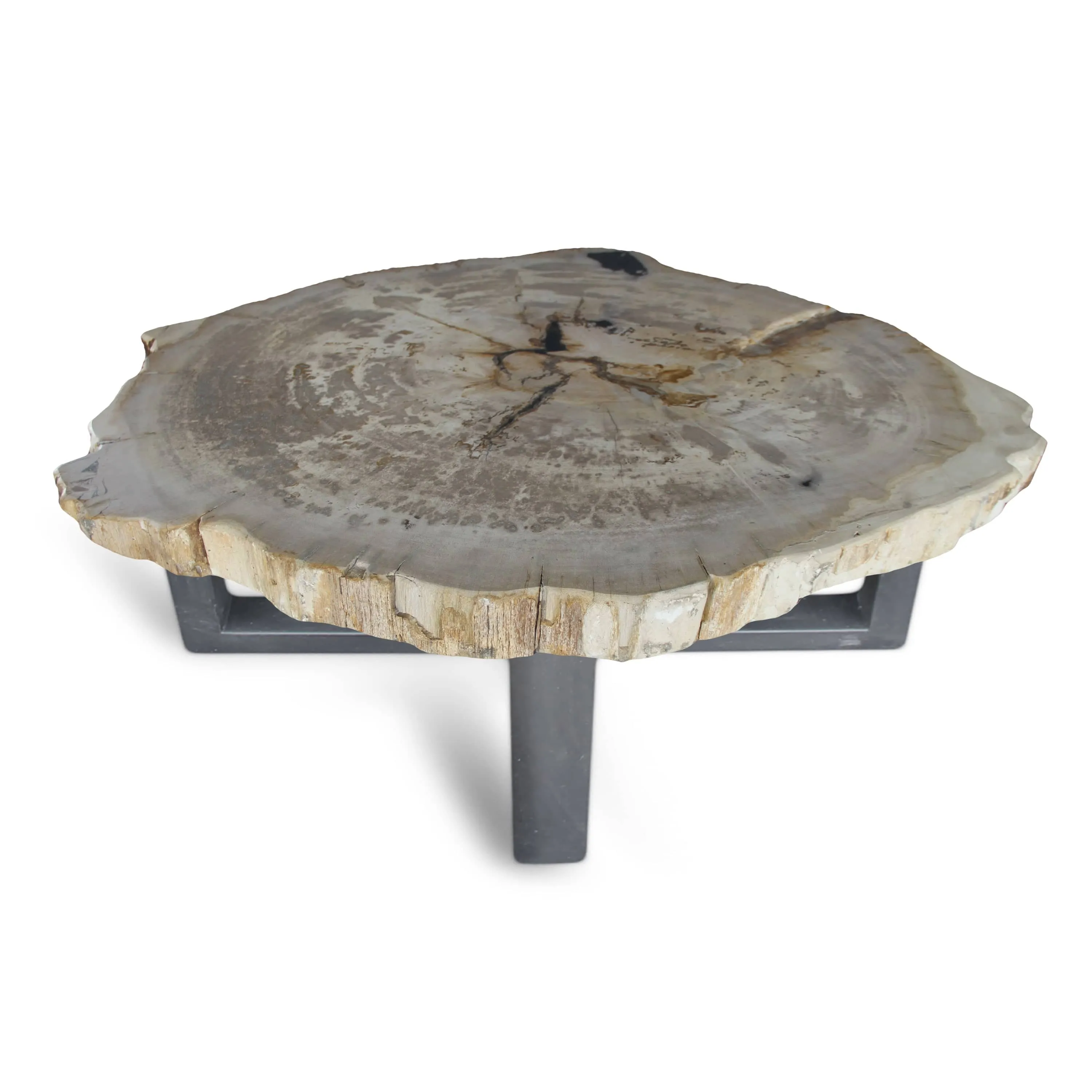 Petrified Wood Round Slab Coffee Table from Indonesia - 39 / 180 lbs