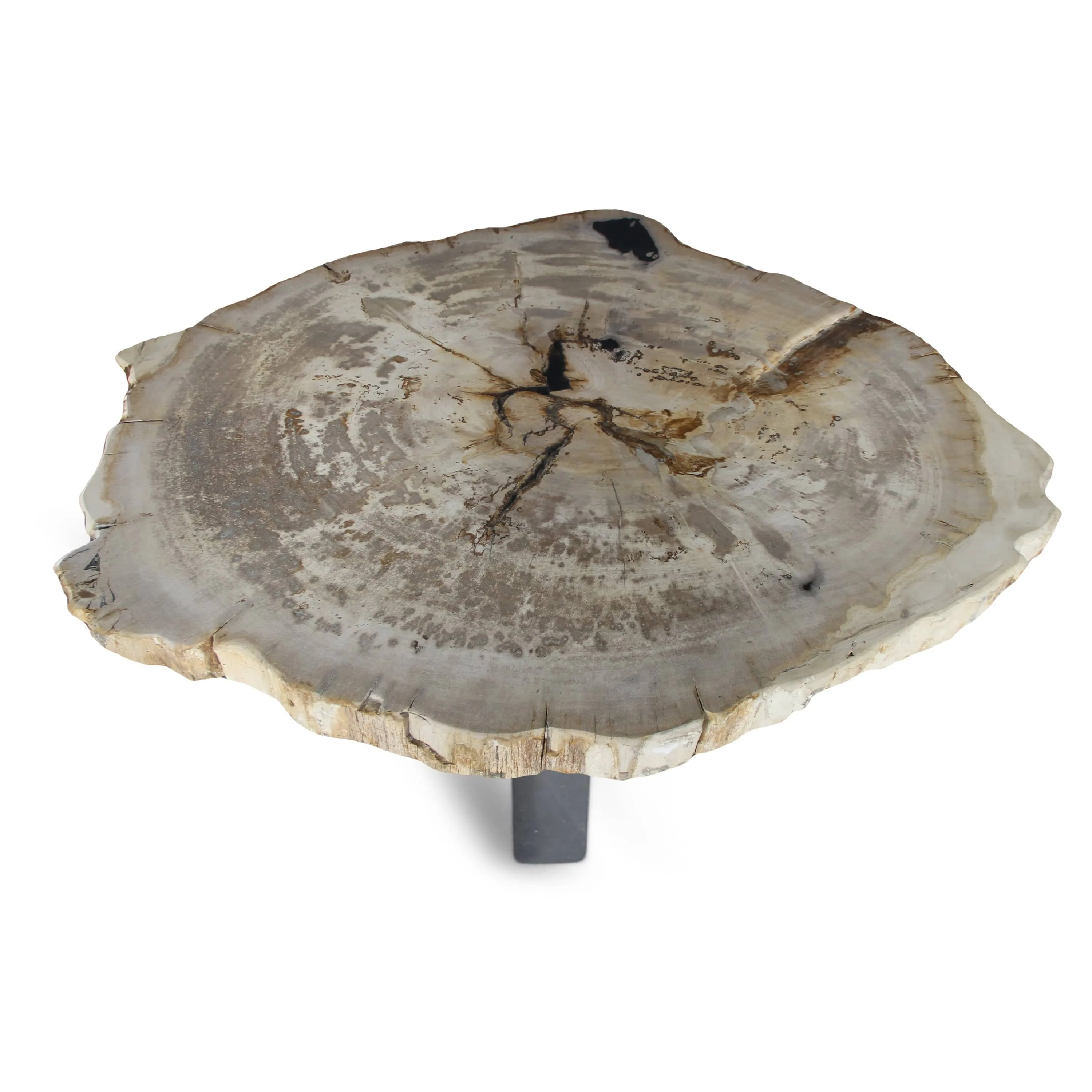 Petrified Wood Round Slab Coffee Table from Indonesia - 39 / 180 lbs