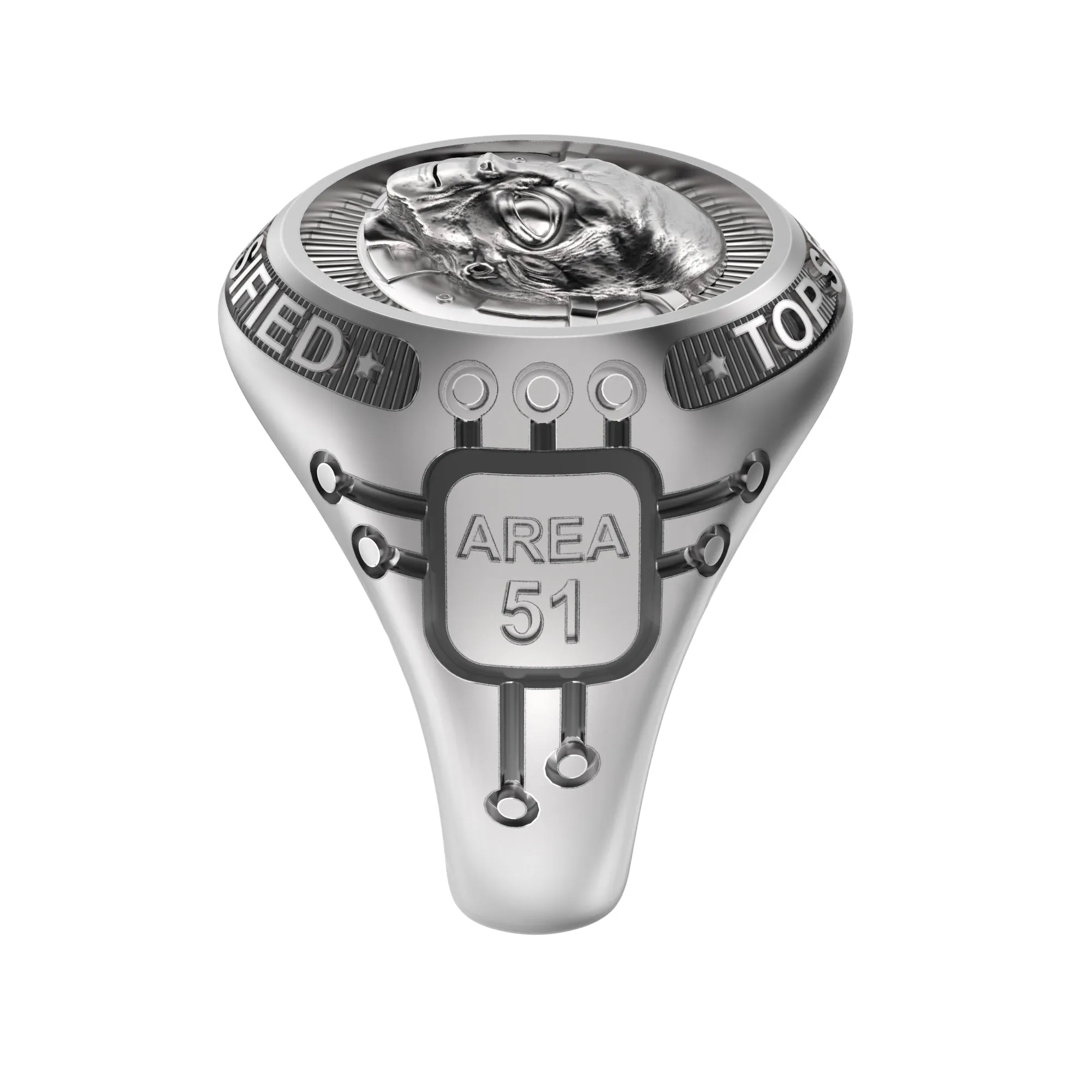 Roswell Incident 75th anniversary gift, UFO Alien Area 51, Mens Signet Ring