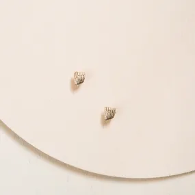 Seashell Stud Earrings - 14k Gold