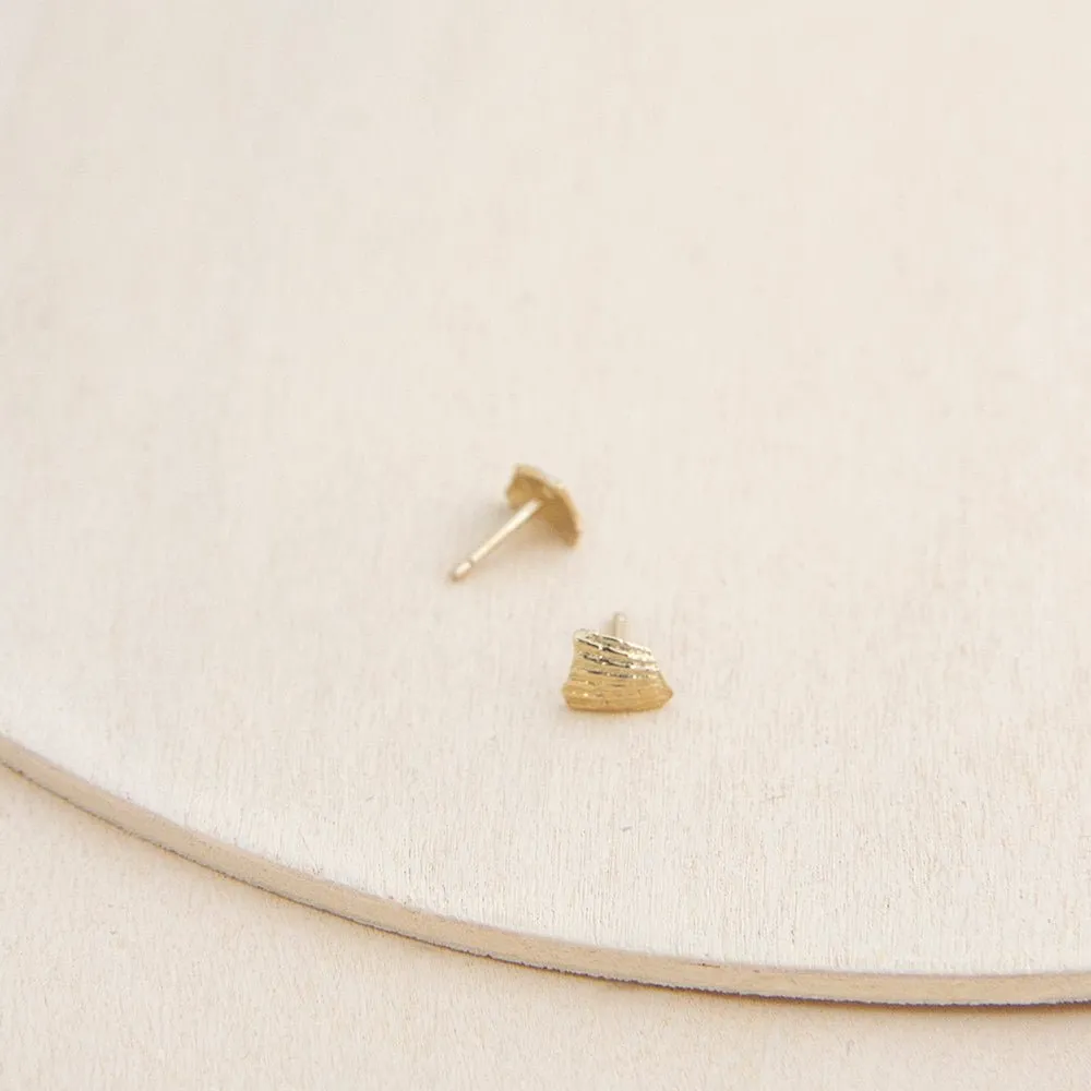 Seashell Stud Earrings - 14k Gold