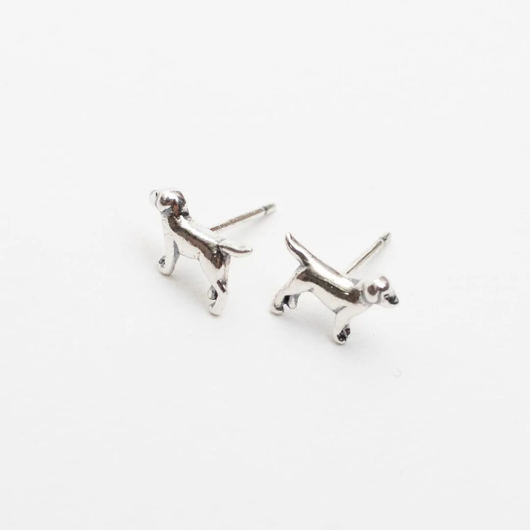 Silver Mini Labrador Retriever Studs