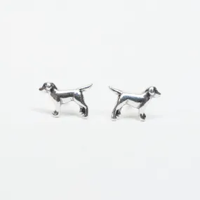 Silver Mini Labrador Retriever Studs