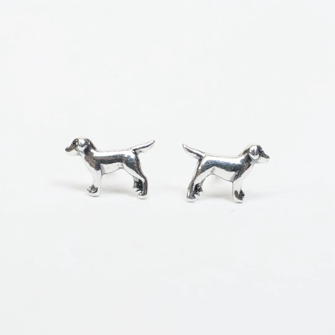 Silver Mini Labrador Retriever Studs